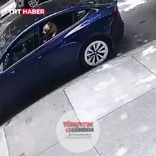 ABD'de park halindeki bir otomobilin camından atlayan pitbull cinsi köpek, sahibi tarafından gezdirilen iki köpeğe saldırdı.