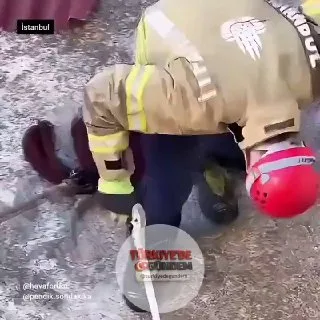 İstanbul'da 1,5 metre uzunluğunda dev bir yılan yakalanarak güvenli bir alana bırakıldı. Görüntüler Pendik'ten.