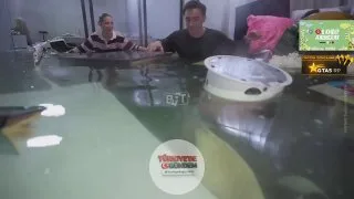 Yayıncının odasının son hali: