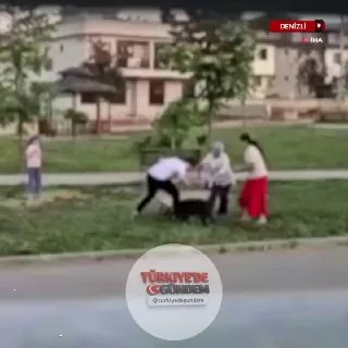 Denizli'de bir parkta tasmasız gezdirilen sahipli bir köpek, küçük bir köpeğe saldırdı. Araya giren bir doktor, saldırgan köpeğe çekiçle vurarak etkisiz hale getirdi. Doktor, saldırının şiddetlenmesi ve köpeğin çocuklara zarar verme ihtimali üzerine