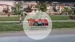 Parkta gezdirilen tasmalı bir köpeğe saldırıp bir çocuğu ısıran sokak köpeği, bir doktor tarafından etkisiz hale getirildi.