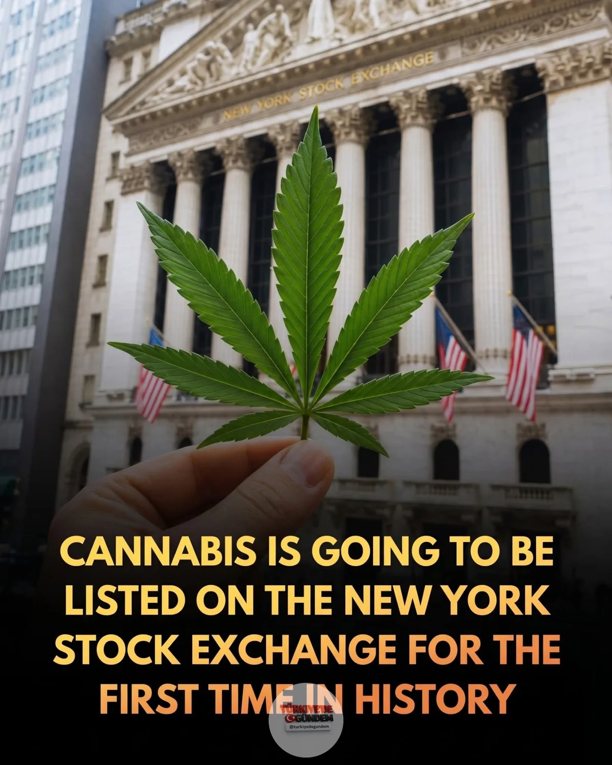 ABD merkezli bir kenevir şirketi, New York Menkul Kıymetler Borsası'nda (NYSE) işlem görmeye hazırlanıyor. Florida merkezli Trulieve Cannabis Corp., "TRLV" borsa koduyla işlem görerek New York Menkul Kıymetler Borsası'nda yer alan ilk ABD merkezli ke