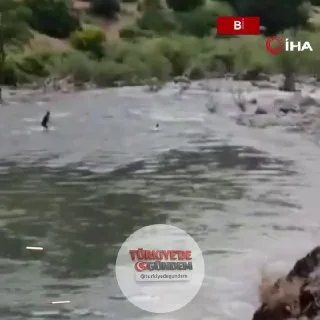 Bingöl’de Sarım Çayı’nda akıntıya kapılarak kaybolan Vedat Karabulut’un suya sürüklendiği anların görüntüleri ortaya çıktı. Görüntülerde Karabulut’un sürüklendiği, arkadaşlarının ise kurtarmaya çalıştığı görüldü