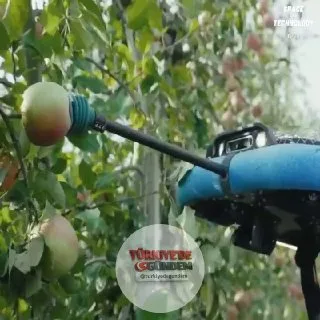 Bu robot, çiftçilerin olgun meyveleri otomatik olarak hasat etmesine yardımcı oluyor ve günün 24 saati çalışabiliyor. Meyveleri toplamadan önce boyutlarını ve olgunluklarını belirlemek için kamera ve bilgisayarlı görü teknolojisinden yararlanıyor. Te
