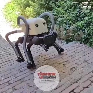 İtalyan Teknoloji Enstitüsü araştırmacıları tarafından geliştirilen ve bacaklarına elektrikli süpürge monte edilmiş dört ayaklı robot köpek Vero ile tanışın. Kamera ve yapay zeka teknolojisini kullanan robot, parklarda, plajlarda ve dar sokaklarda iz