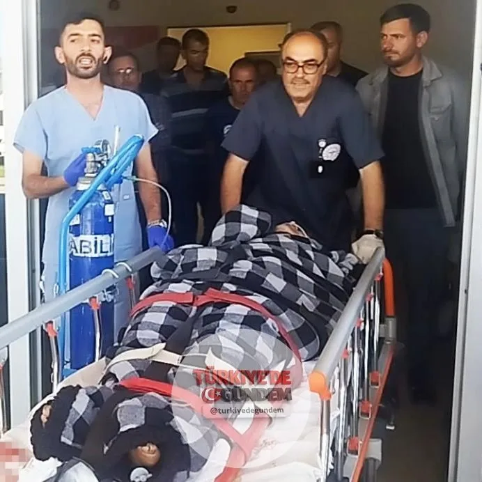 Sivas'ta sürüdeki Kangal köpekleri, ayı saldırısına uğrayan çobanı kurtardı.
