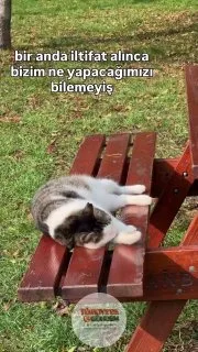 İltifat alınca bizdir