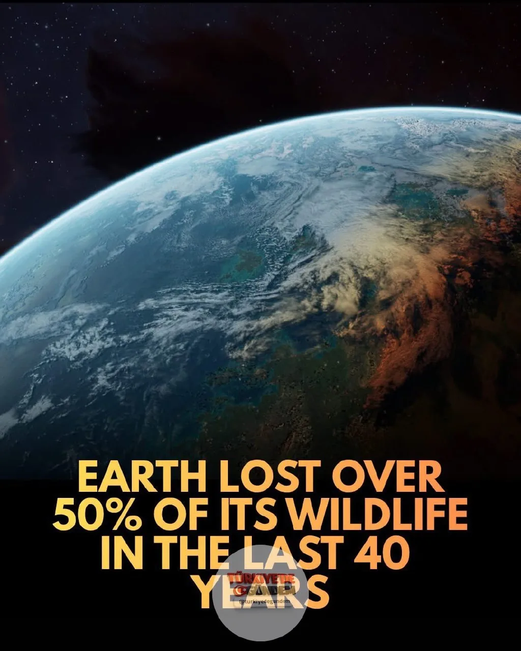 1-) 🌍 Yıkıcı bir rapor, sürdürülemez insan tüketimi ve habitat tahribatı nedeniyle Dünya'nın vahşi hayvan popülasyonunun sadece 40 yıl içinde yarı yarıya azaldığını ortaya koydu. Dünya Doğayı Koruma Vakfı (WWF) ve Londra Zooloji Derneği tarafından ha