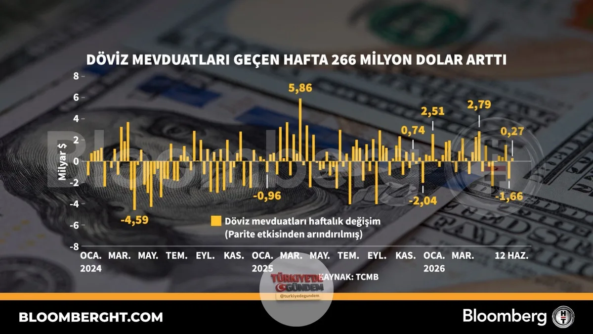 Döviz mevduatları geçen hafta 266 milyon dolar arttı.