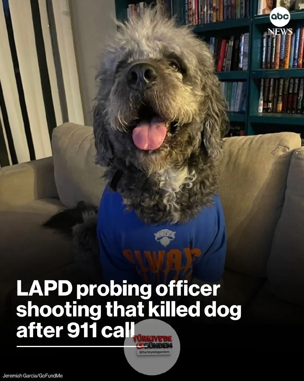 Los Angeles Polis Departmanı, Cumartesi günü Knicks'in tarihi şampiyonluk kutlaması nedeniyle yapılan asılsız bir 911 ihbarına müdahale eden bir memurun, bir köpeği vurarak öldürdüğü olaya ilişkin soruşturma başlatıldığını açıkladı.