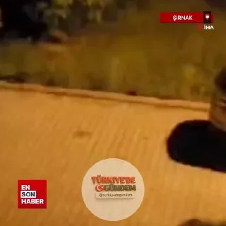 Şırnak’ın Silopi ilçesinde başıboş köpeklerin saldırdığı 3 kadın yaralanarak hastanede tedavi altına alındı. Mahalle sakinleri, bölgede benzer olayların daha önce de yaşandığını belirterek kalıcı önlem alınmasını istedi