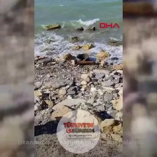 İstanbul'da iki ayrı plajda mühimmat olduğu değerlendirilen şüpheli cisimler bulundu; vatandaşlar bölgeden tahliye edildi. Öğleden sonra Çatalca Ormanlı Plajı'nda denize giren vatandaşlar, kıyıda mühimmat benzeri bir cisim fark ederek durumu sahil gü