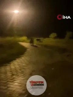 Yozgat'ın Çayıralan ilçesine bağlı Kaletepe köyünde araçlarının içinde oturan gençler, köy içerisinde karşılaştıkları iki ayıyı cep telefonlarıyla görüntüledi.