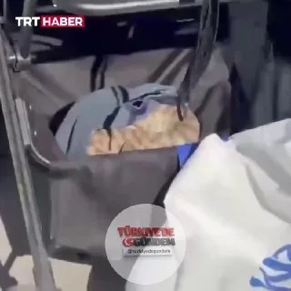 Şanlıurfa'da piknik yapan bir ailenin bebek arabasının üzerine ağaçtan yılan düştü. İtfaiye ekipleri tarafından bulunduğu yerden alınan yılan, doğal ortamına bırakıldı.