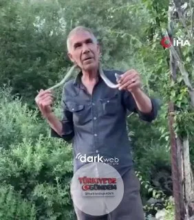 Bingöl'de bir vatandaş, zehirli engerek yılanını boynuna doladı: "Benim yaptığımı yapmayın, bir ısırığı sizi geri dönüşü olmayan yola sokar."