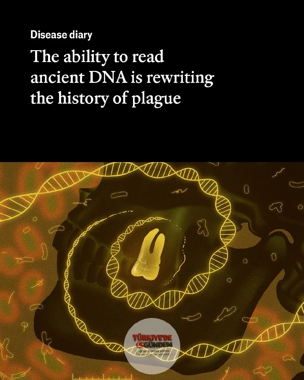 Yüzyıllar öncesine ait DNA örnekleri, bilim insanlarının veba tarihini benzeri görülmemiş bir detayla yeniden kurgulamasına olanak tanıdı. Bir uzman, bu verilerin gelecekteki aşı çalışmaları için temel oluşturmasını umuyor. İllüstrasyon: Raven Jiang