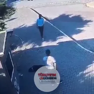 Manisa'da bir köpeğe ve güvenlik görevlilerine saldıran şahıs tutuklandı.