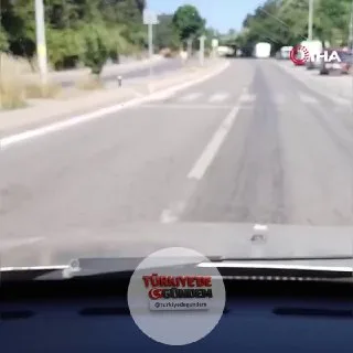 Ümraniye'de bir sokak ortasında başıboş dolaşan inek görüntülendi.