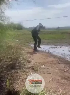 Şanlıurfa'da bir kişi, tarlada gördüğü yılanla yumruk yumruğa kavga etti.
