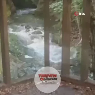 Bolu'da, Sarıçam Orman İşletme Şefliği mevkisinde yasak olmasına rağmen tırmıkla balık avlayan kişiler, cep telefonu kamerasına yansıdı.