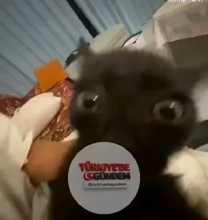 Instagram Reels'a yeni video özellikleri eklendi.