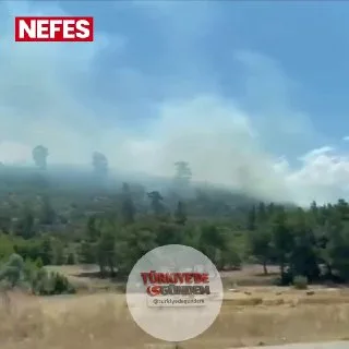 Muğla'nın Seydikemer ilçesinde orman yangını çıktı.