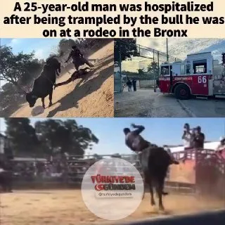 DİKKAT | New York'ta bir boğa, üzerinden attığı binicisini ezdi. 25 yaşındaki binici hastaneye kaldırıldı.