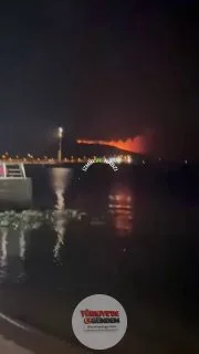 A fire broke out in Dikili, İzmir
